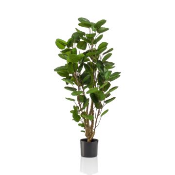 Plante artificielle Polyscias FAUZIA, tronc artificiel, 105cm