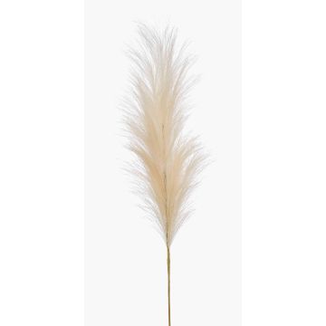 Herbe de la Pampa artificielle AMATSIA, crème, 115cm