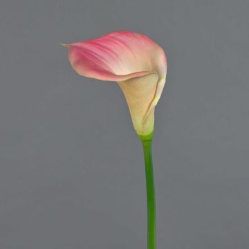 Fleur décorative Calla DAISCHI, rose-crème, 70cm Fleur décorative Calla DAISCHI, rose-crème, 70cm