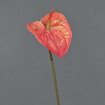 Fleur d'anthurium artificielle YUSEI, orange, 65cm