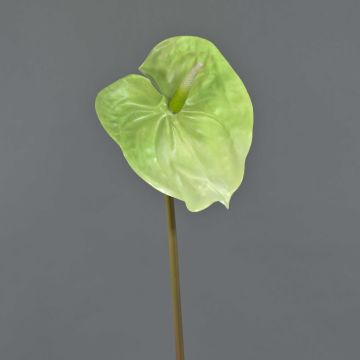 Fleur d'anthurium artificielle YUSEI, vert-crème, 65cm