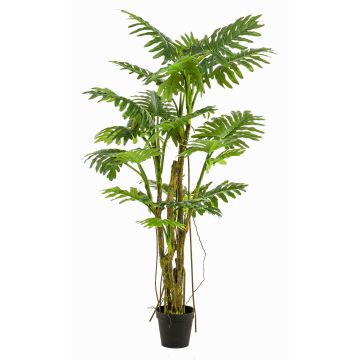 Philodendron artificiel Selloum EDHEM, 195cm
