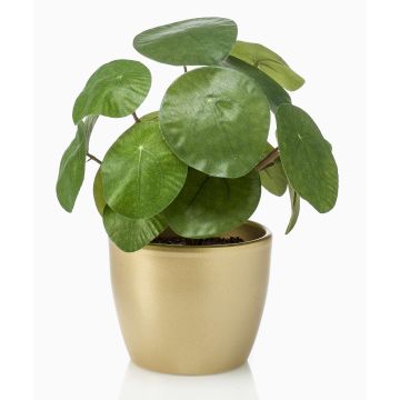 Pilea Peperomioide artificiel SYBIL, pot en céramique doré, vert, 20cm