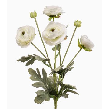 Renoncule décorative HIBBA, crème, 65cm