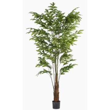 Palmier queue-de-poisson artificiel AIDING, 225cm