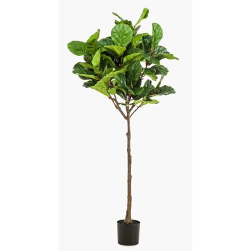 Ficus Lyrata synthétique ABIULA, tronc naturel, vert, 195cm