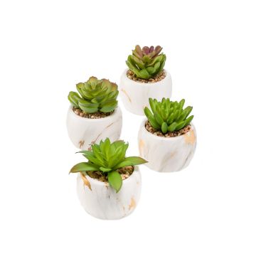 Succulentes artificielles LOYE dans un pot en marbre, 4 pièces, vert, 13-15cm
