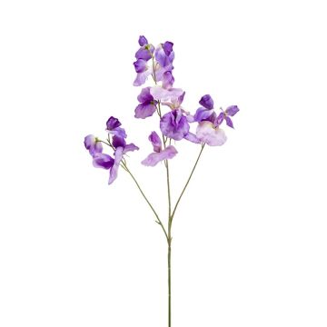 Pois de senteur artificiel KANZI, lilas, 75cm