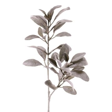 Fausse branche de laurier-lambris VEVEY, gris-vert, 70 cm Fausse branche de laurier-lambris VEVEY, gris-vert, 70 cm