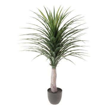 Yucca en plastique DENDES en pot décoratif, 120cm