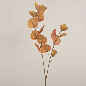 Branche d'eucalyptus artificielle SOPONG, brun, 80cm