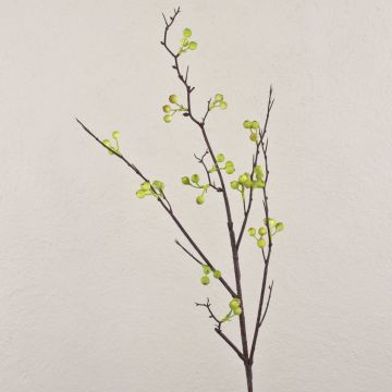 Branche de baies décorative LEERDIK avec fruits, vert, 100cm Branche de baies décorative LEERDIK avec fruits, vert, 100cm