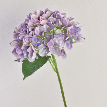 Hortensia artificiel RELENA, violet clair, 65cm