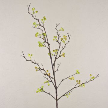 Branche de baies décorative LEERDIK avec fruits, vert, 120cm Branche de baies décorative LEERDIK avec fruits, vert, 120cm