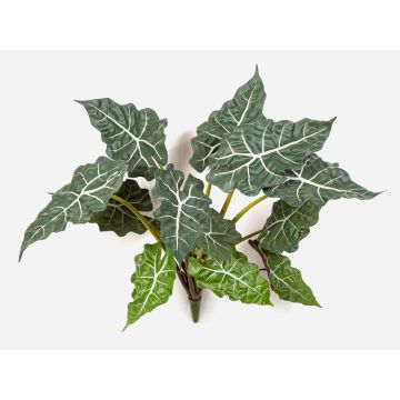 Alocasia Sanderiana artificiel ORLANDA, vert-blanc, 60cm