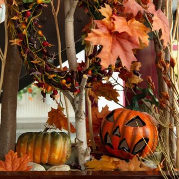 L'automne s'installe L'automne s'installe