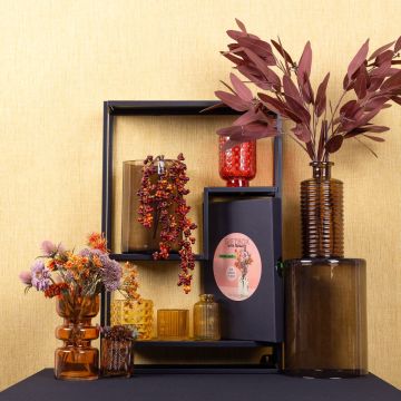 Lumières d'automne Lumières d'automne