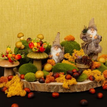 Visite de nains de la comté Visite de nains de la comté