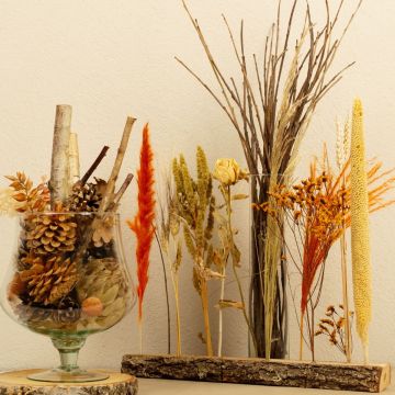 Natural Late Summer Dream Natural Late Summer Dream