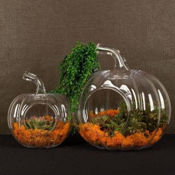 Don't smash that Pumpkin Don't smash that Pumpkin