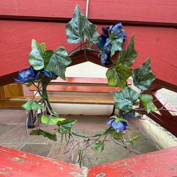 Midnight Bloom Couronne pour les alliances – Demande de Julie Fleur Midnight Bloom Couronne pour les alliances – Demande de Julie Fleur