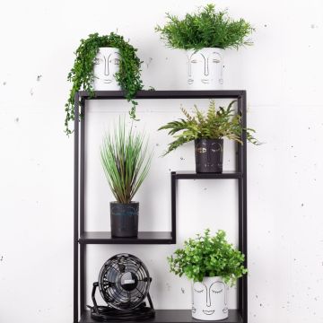 Face à face / Aimez-vous ma coupe de cheveux ?