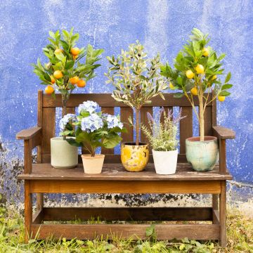 Sentiment méditerranéen