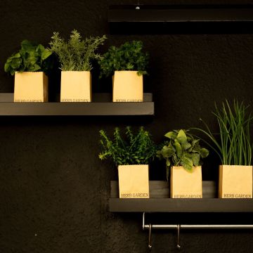 La cuisine verte La cuisine verte