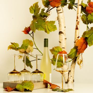 Une belle soirée d'été avec du vin Une belle soirée d'été avec du vin