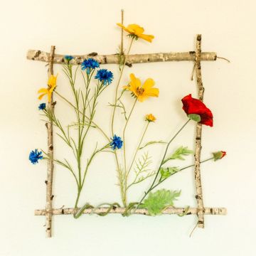 Le champ de fleurs encadré Le champ de fleurs encadré