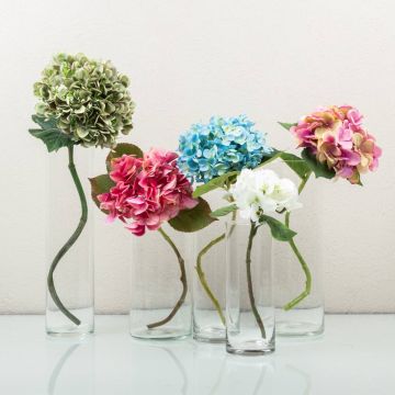 Hortensias dansants Hortensias dansants