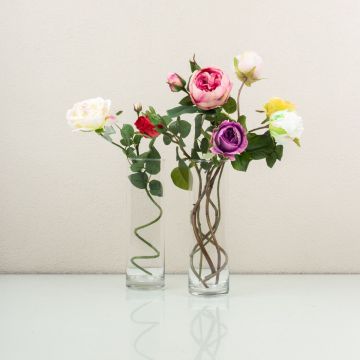 Choix de la Belle au bois dormant Choix de la Belle au bois dormant