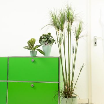 Équilibre entre vie professionnelle et vie privée