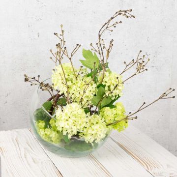 Neige verte Neige verte