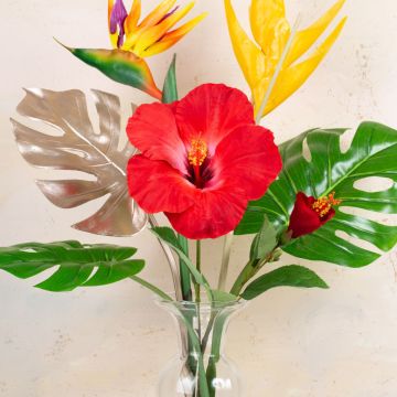 Ambiance estivale Ambiance estivale