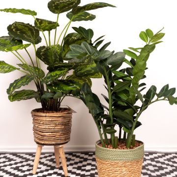 Style de vie scandinave