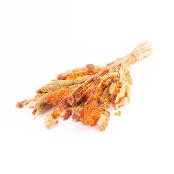 Bouquet de fleurs séchées FLORALIE, orange-naturel, 55cm, Ø18cm Bouquet de fleurs séchées FLORALIE, orange-naturel, 55cm, Ø18cm