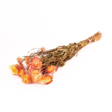 Bouquet d'immortelle d'Italie ALMINKA, séché, jaune-orange, 50-60cm, Ø15cm Bouquet d'immortelle d'Italie ALMINKA, séché, jaune-orange, 50-60cm, Ø15cm