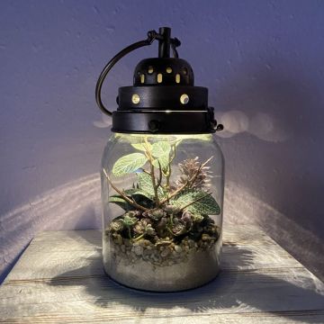 Jardin en bouteille industriel Jardin en bouteille industriel