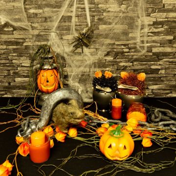 Halloween - Des citrouilles effrayantes