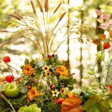 Fête de la récolte - La récompense du travail accompli Fête de la récolte - La récompense du travail accompli