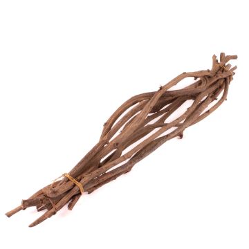 Botte de branches de vigne ROSHAN, séchée, 10 pièces, naturel, 65cm Botte de branches de vigne ROSHAN, séchée, 10 pièces, naturel, 65cm