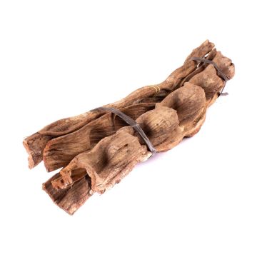 Fagot de morceaux de liane séchée Cipo Escada NALLESTE, 5 pièces, naturel, 60cm