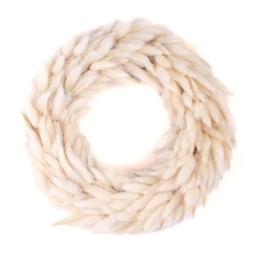 Couronne sèche Lagurus RIKARDA, crème, Ø25cm