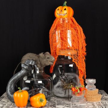 Halloween - Laboratoire de l'horreur