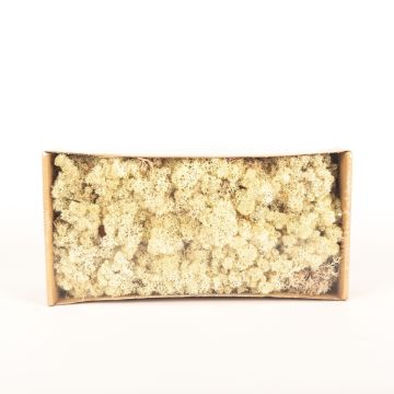 Véritable Mousse d'Islande SVEINBJÖRN, brun, 500g Véritable Mousse d'Islande SVEINBJÖRN, brun, 500g