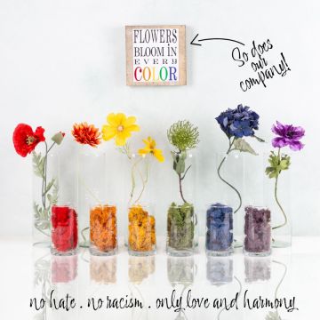 Flowers Bloom in every Color Flowers Bloom in every Color