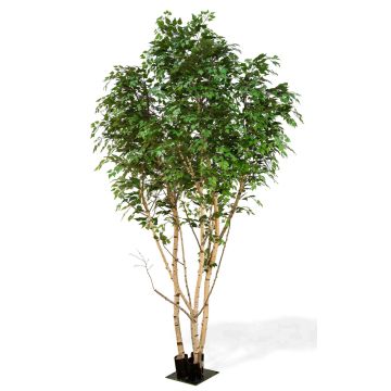 Bouleau blanc artificiel ILSEDORE, troncs naturels, vert, 350cm - Made in Italy
