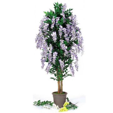 Glycine décorative MALENKA, troncs naturels, avec des fleurs, lilas, 150cm - Made in Italy Glycine décorative MALENKA, troncs naturels, avec des fleurs, lilas, 150cm - Made in Italy