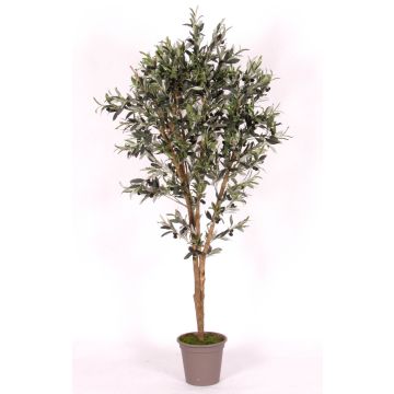Olivier artificiel MIANA, troncs naturels, avec des fruits, 100cm - Made in Italy Olivier artificiel MIANA, troncs naturels, avec des fruits, 100cm - Made in Italy